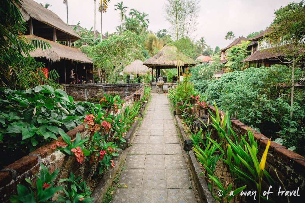 Bali Ubud village restaurant quoi faire idée touristique guesthouse  1