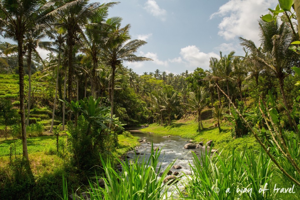 visit Ubud Indonesia Bali quoi faire rizière sana penestanan idée