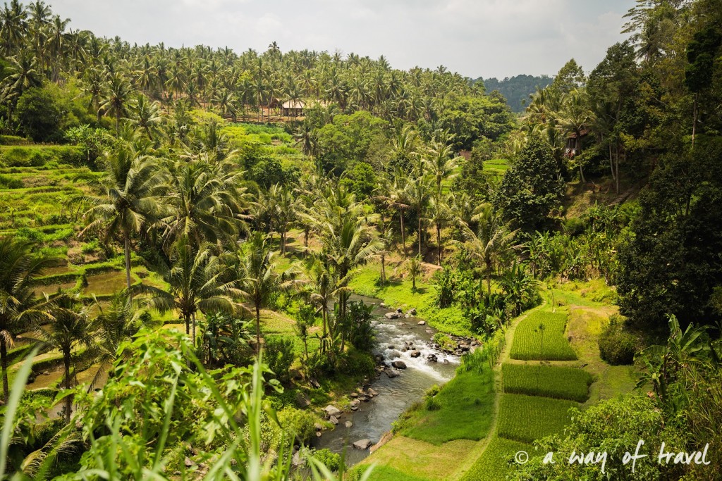 visit Ubud Indonesia Bali quoi faire rizière sana penestanan idée touristique 22