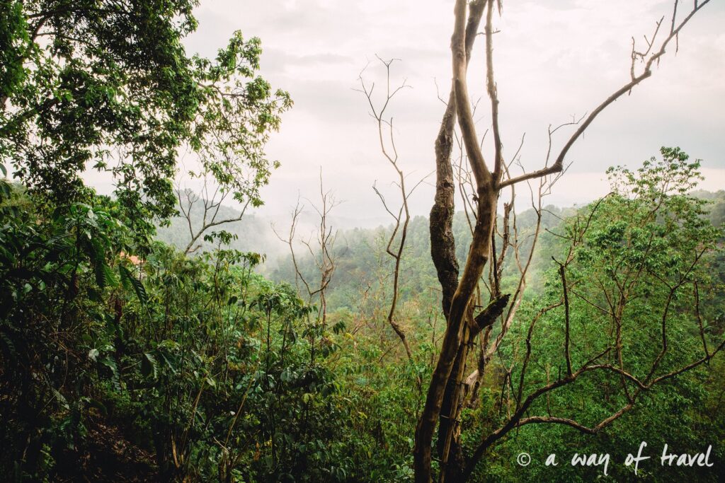 bali indonesie visiter munduk chute waterfall 14