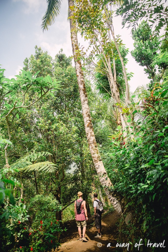bali indonesie visiter munduk chute waterfall 16