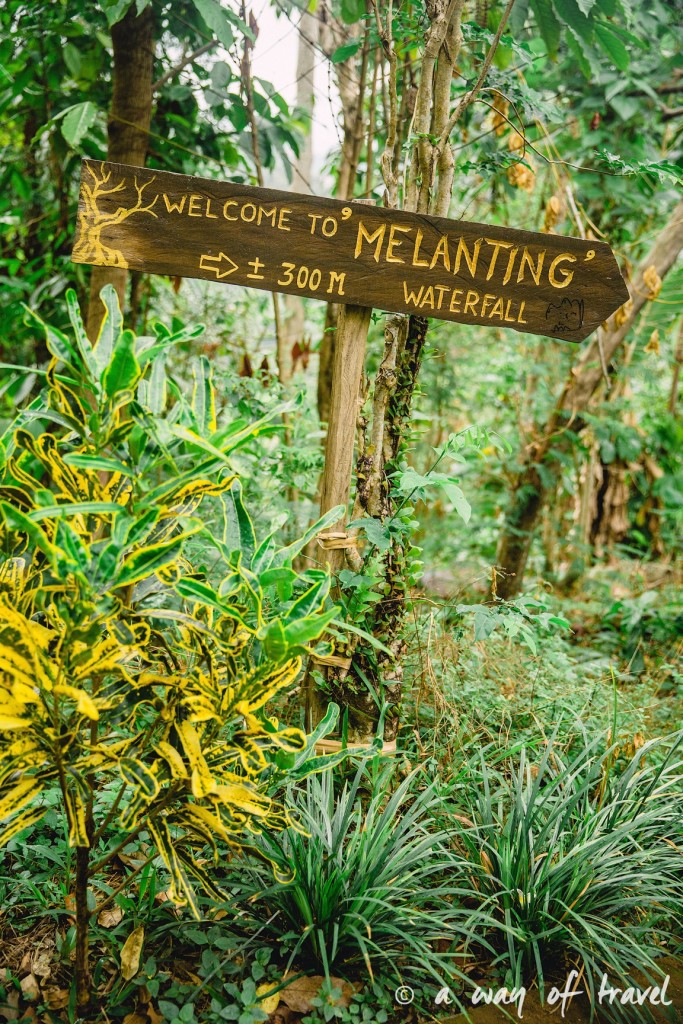 bali indonesie visiter munduk chute waterfall 17