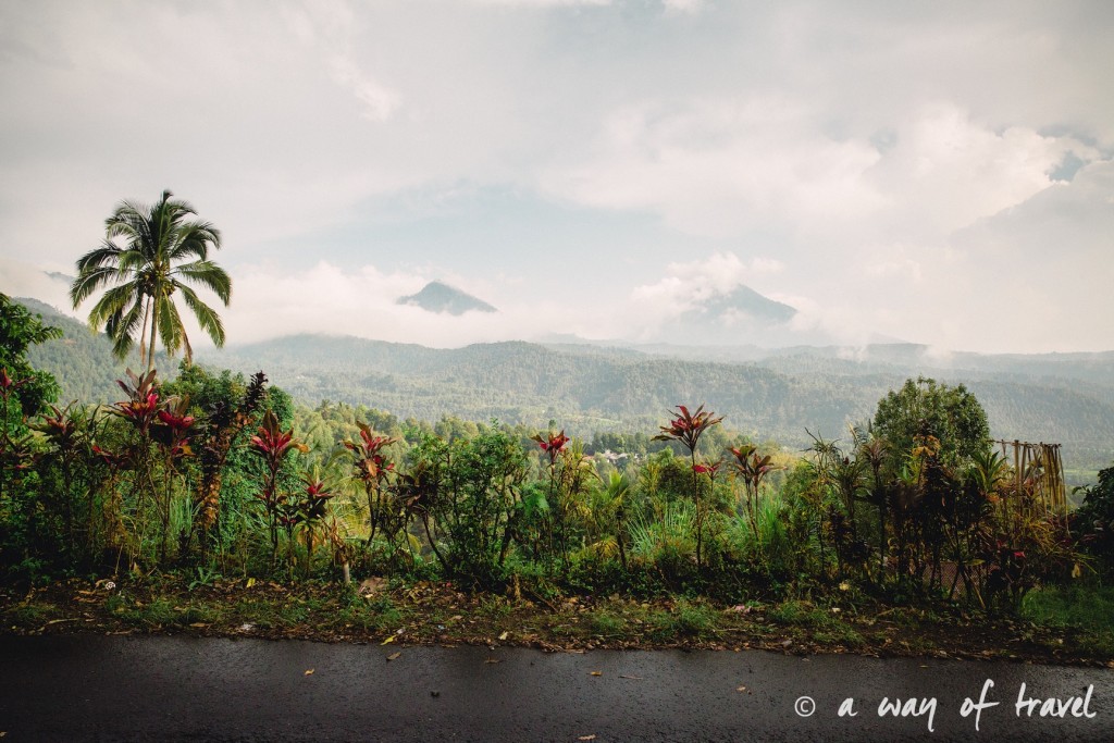 bali indonesie visiter munduk chute waterfall 19