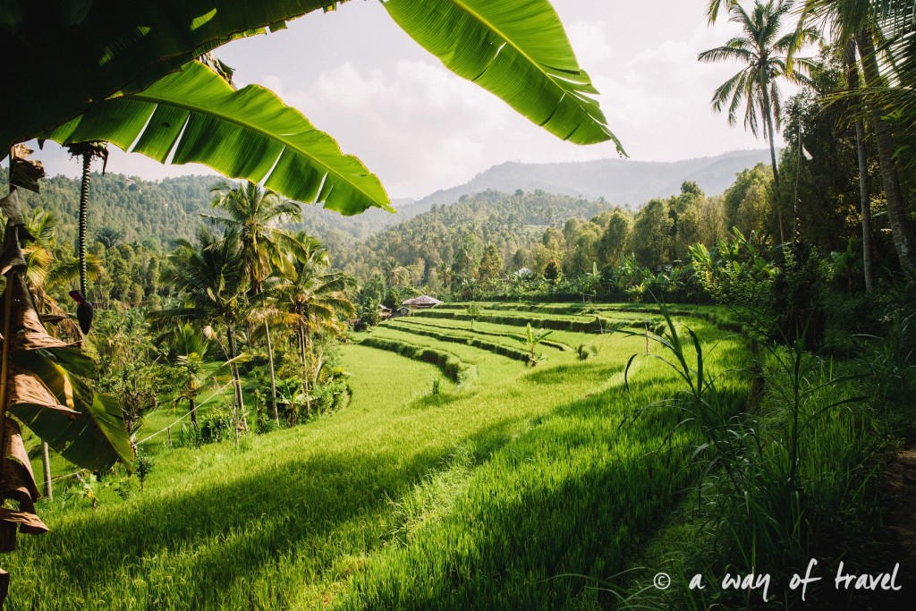 bali indonesie visiter munduk chute waterfall 22