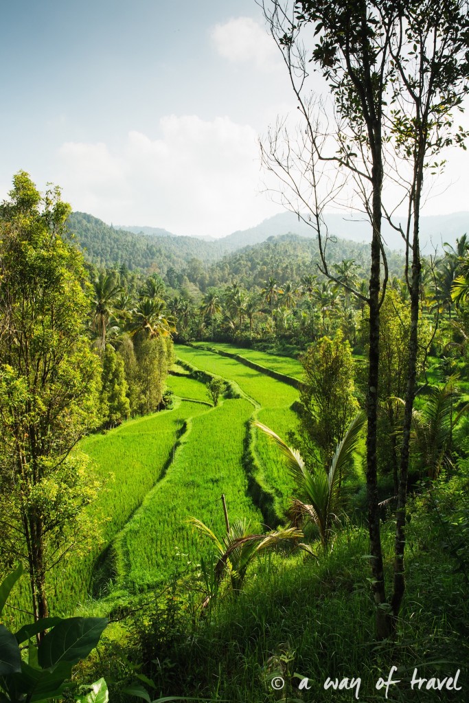 bali indonesie visiter munduk chute waterfall 23