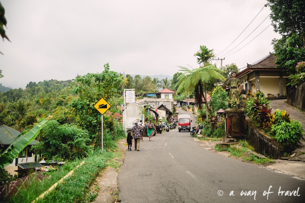 bali indonesie visiter munduk chute waterfall 3