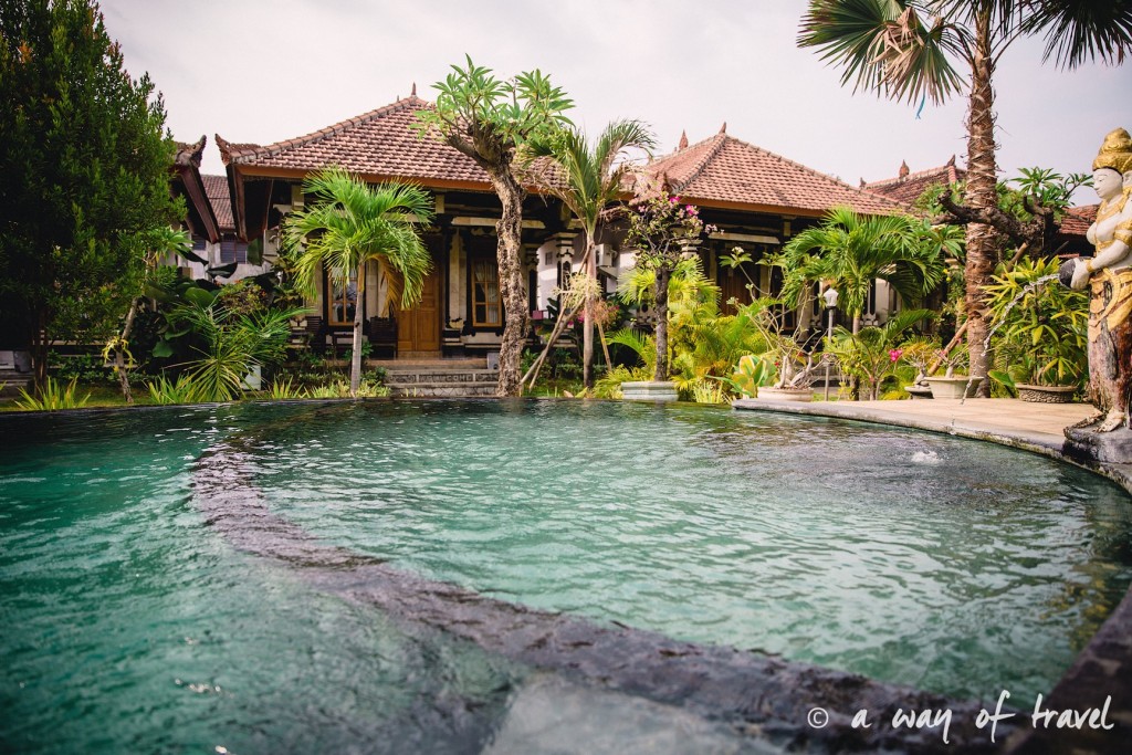 guesthouse lovina permuteran bali visit 11