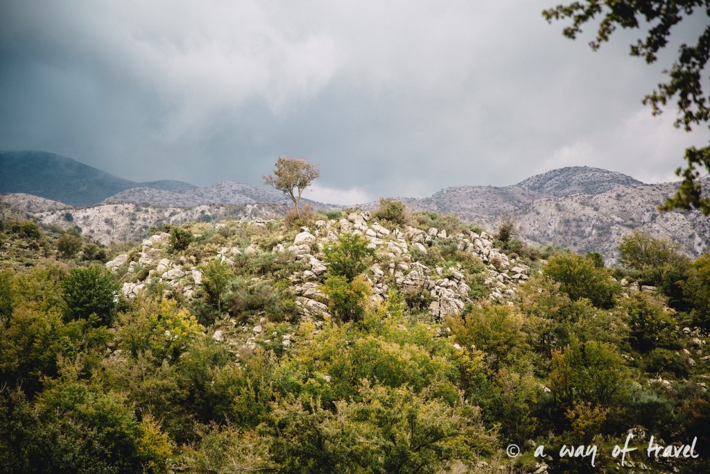 paysage Crete-153