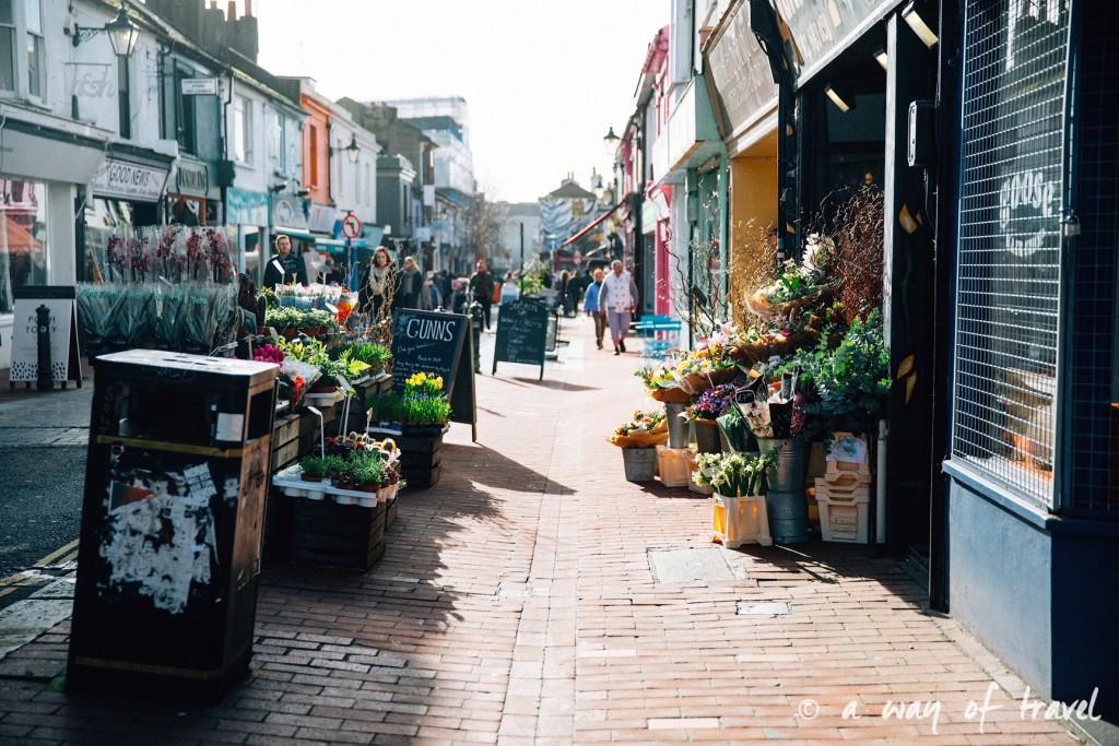 a way of travel blog voyage brighton angleterre visiter a voir 100