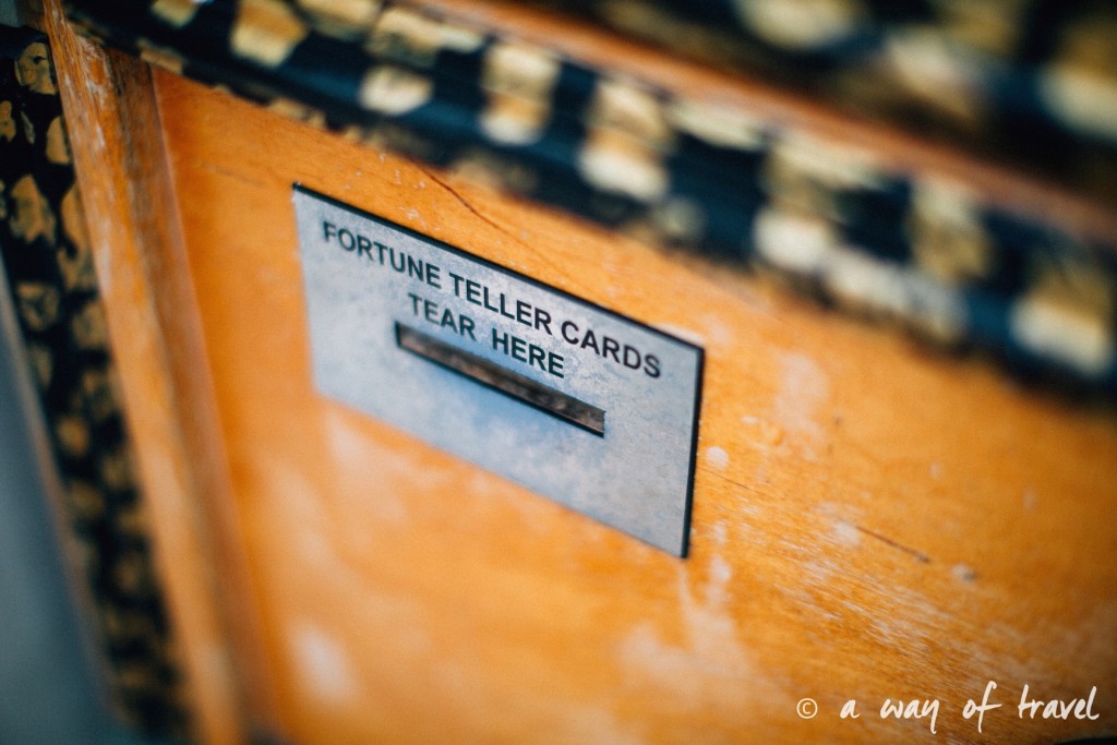 a way of travel blog voyage brighton angleterre visiter a voir 129 zoltar
