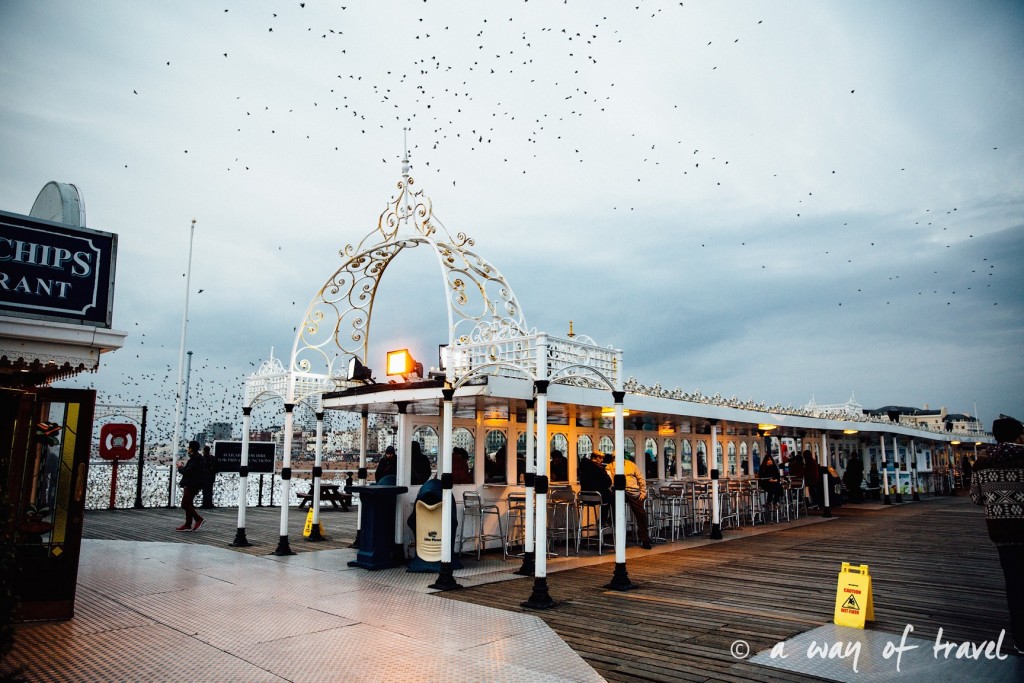 a way of travel blog voyage brighton angleterre visiter a voir 70 pier