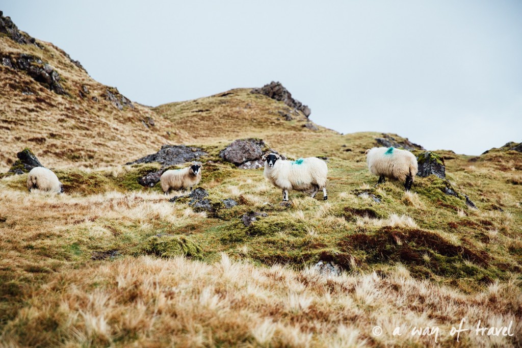 Ecosse visit scotland roadtrip isle skye blog 10