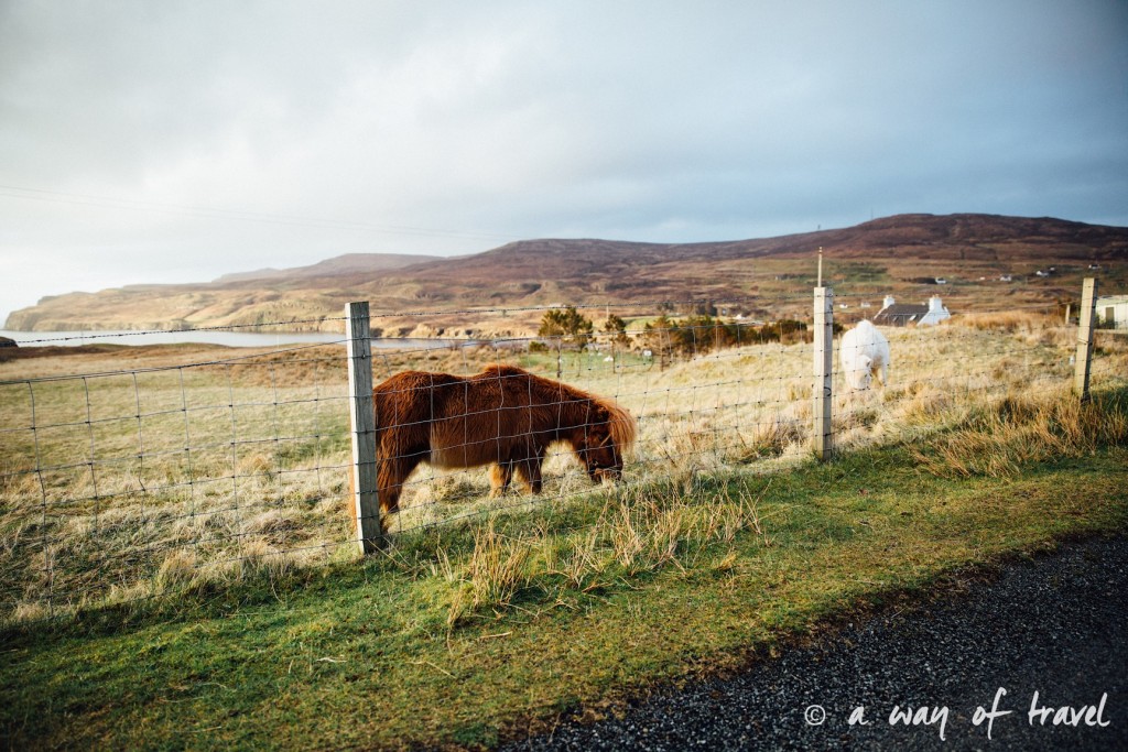 Ecosse visit scotland roadtrip isle skye blog 61