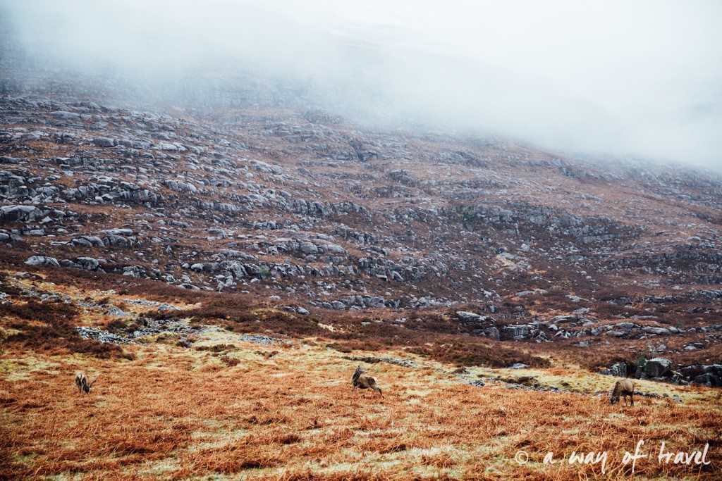 Road trip visit Ecosse scotland torridon applecross  17