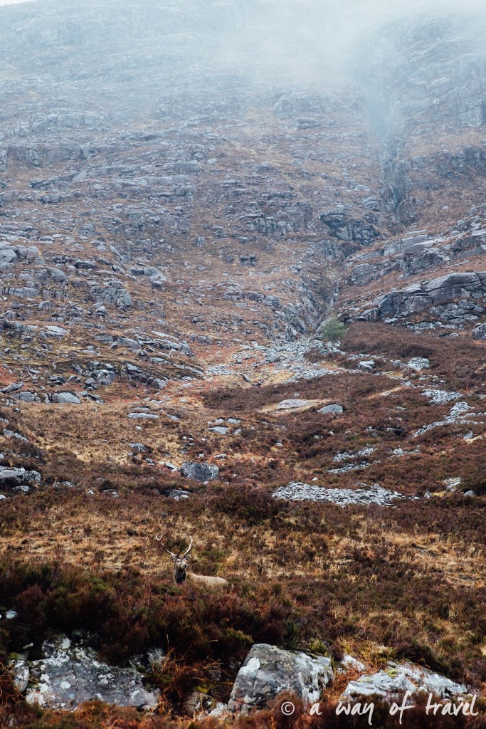 Road trip visit Ecosse scotland torridon applecross  20