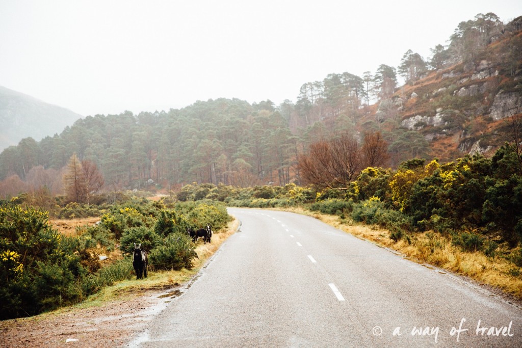 Road trip visit Ecosse scotland torridon applecross  23