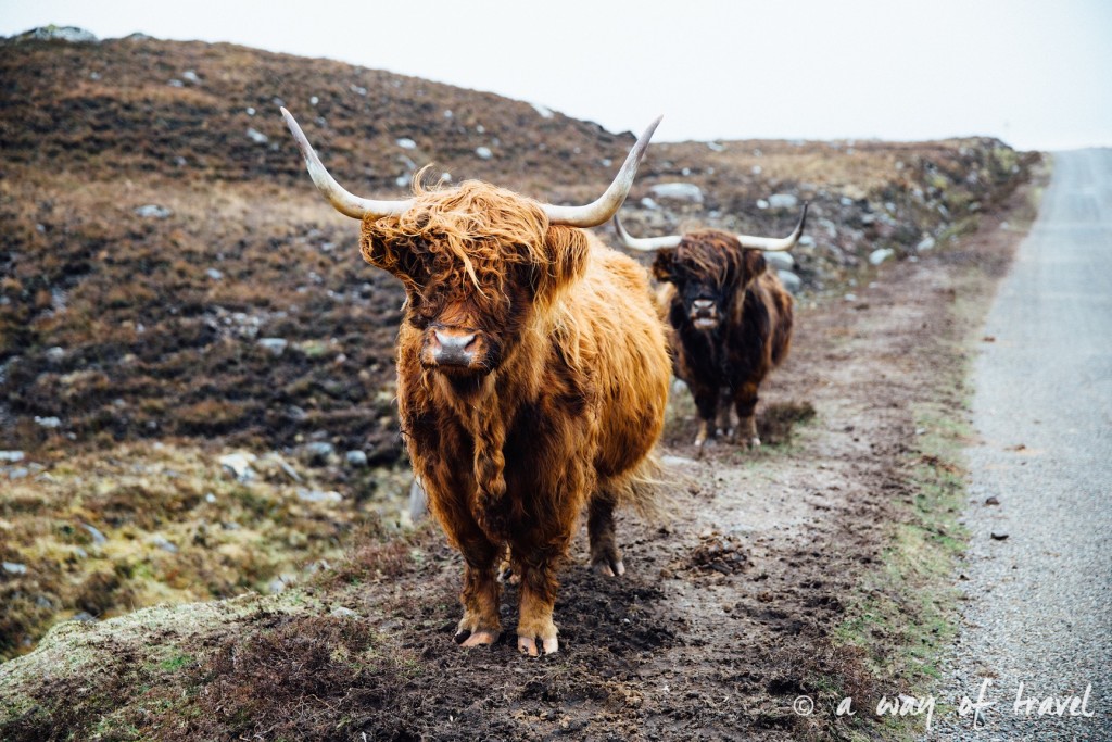 Road trip visit Ecosse scotland torridon applecross  8