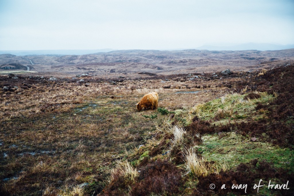 Road trip visit Ecosse scotland torridon applecross  9