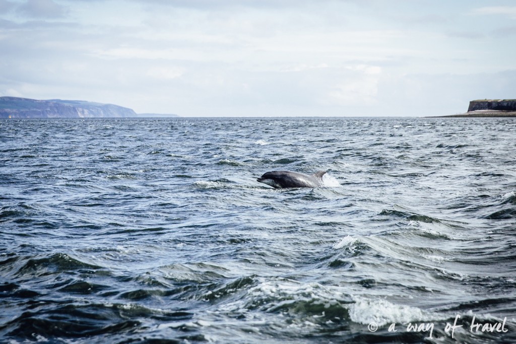 cromarty moray fith dauphin Visit Ecosse Scotland road trip blog voyage 3