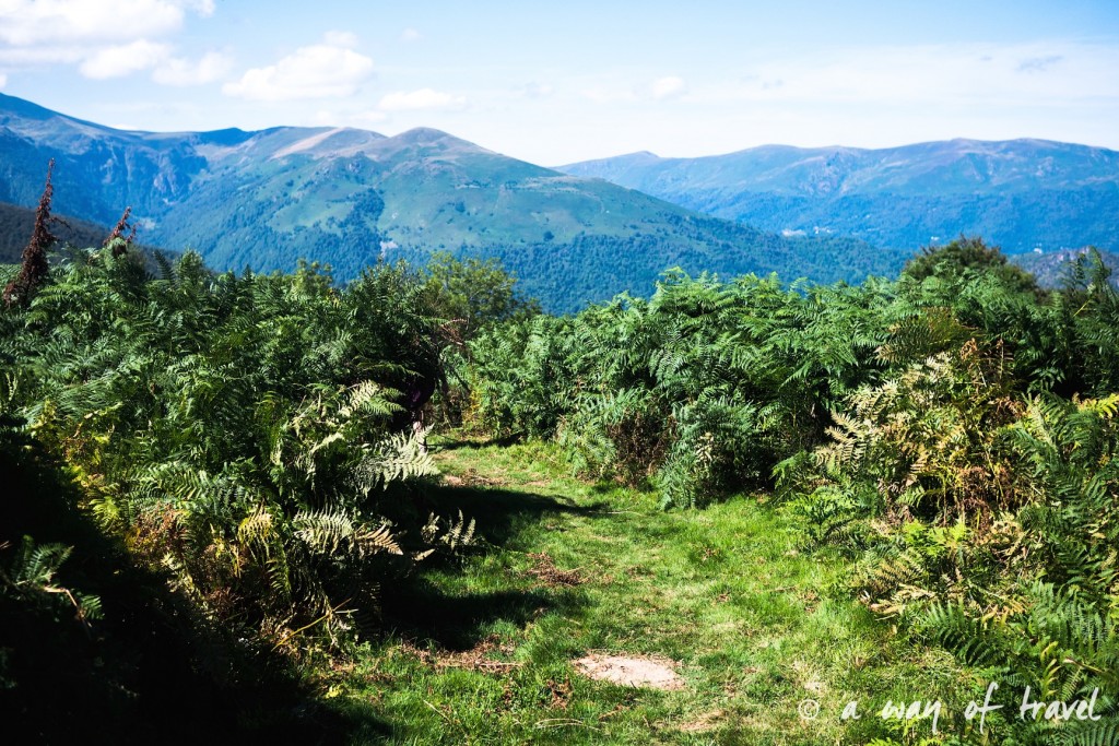 randonnee-pyrenees-facile-lac-artax-rando-20