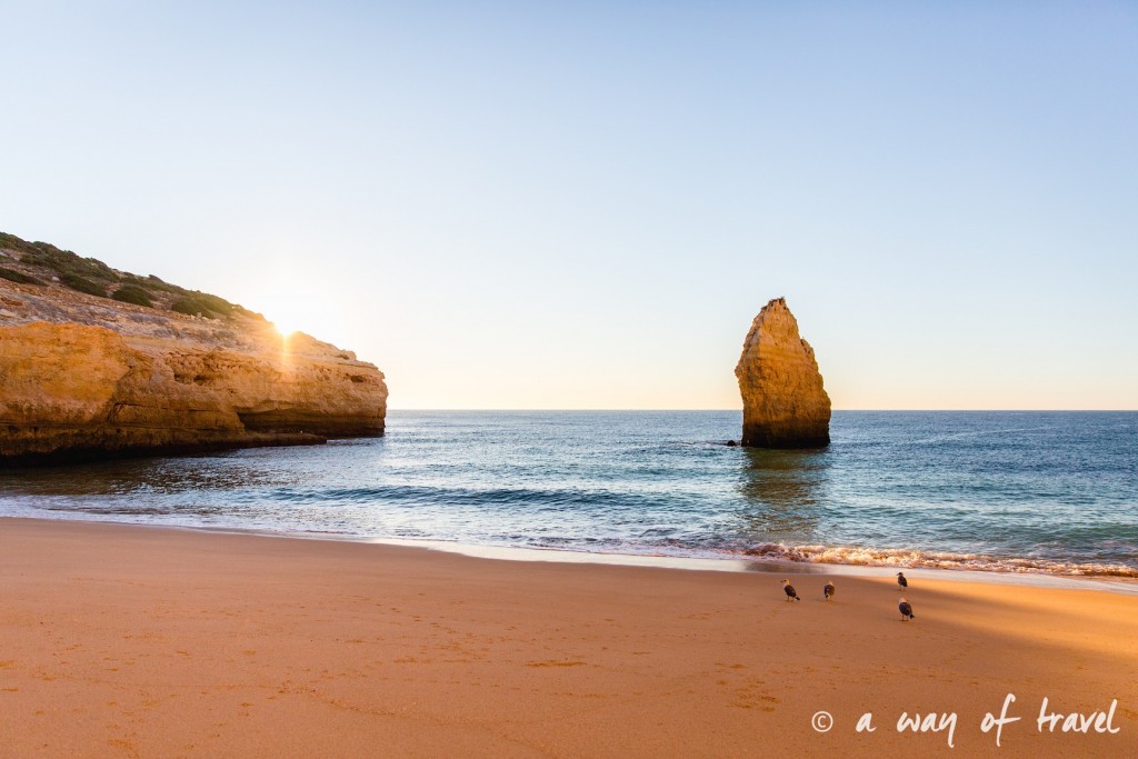 road-trip-portugal-algarve-visiter-10-benagil-beach