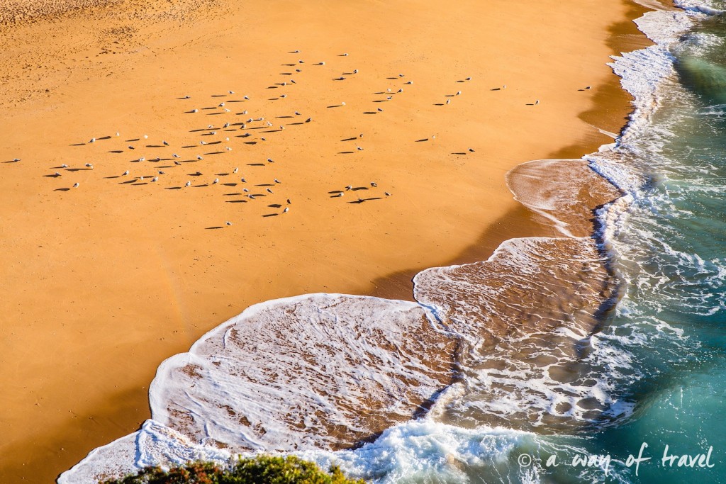 road-trip-portugal-algarve-visiter-20-beach
