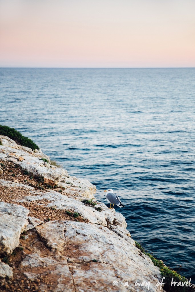 road-trip-portugal-algarve-visiter-3-benagil-west-coast