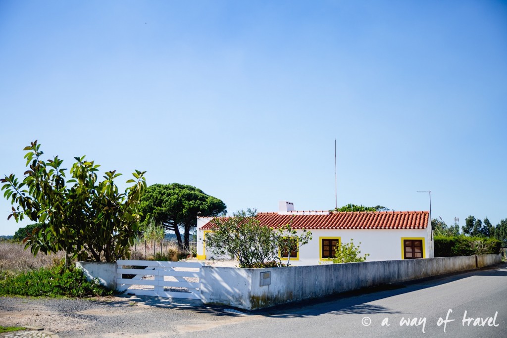 road-trip-portugal-algarve-visiter-32-rogil