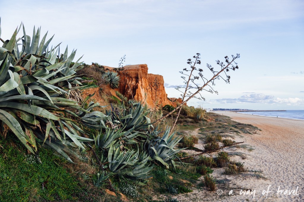 portugal-roadtrip-algarve-praia-1