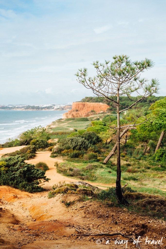 portugal-roadtrip-algarve-praia-falesias-albufeira-19