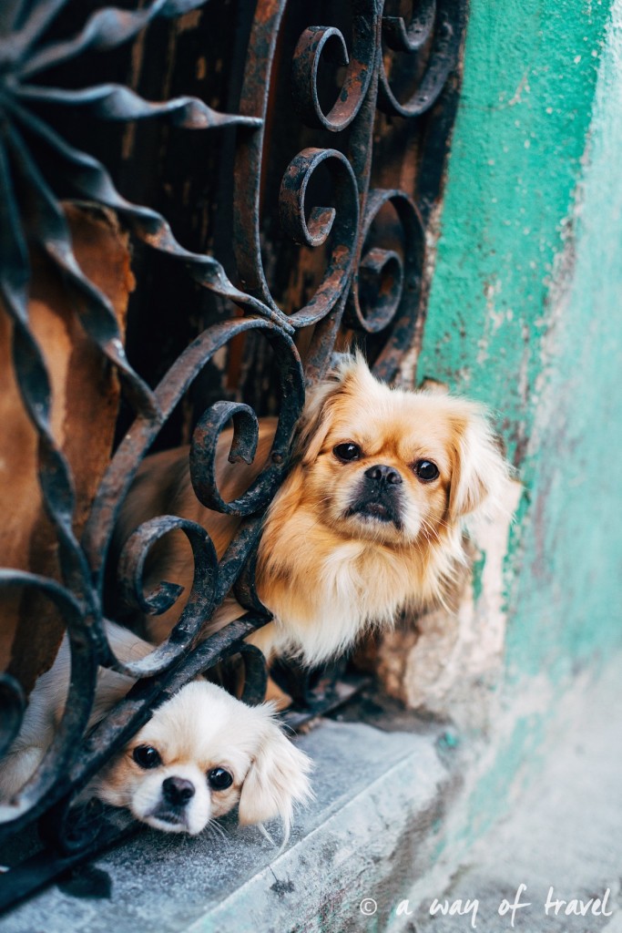La Havane Cuba City Trip Guide Voyage 64