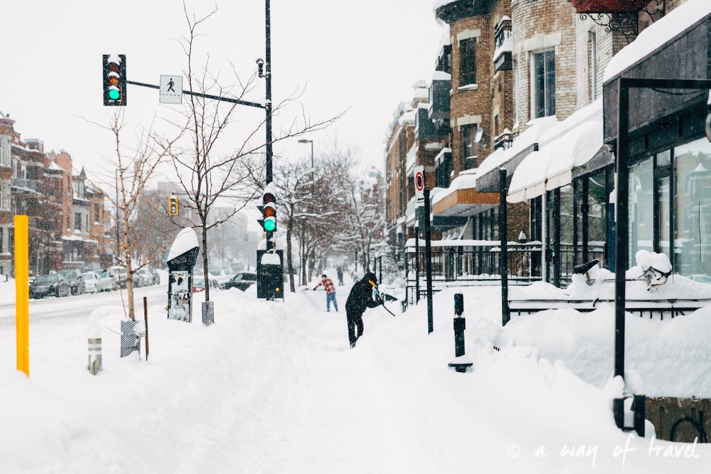 city guide visiter montreal mile end 11