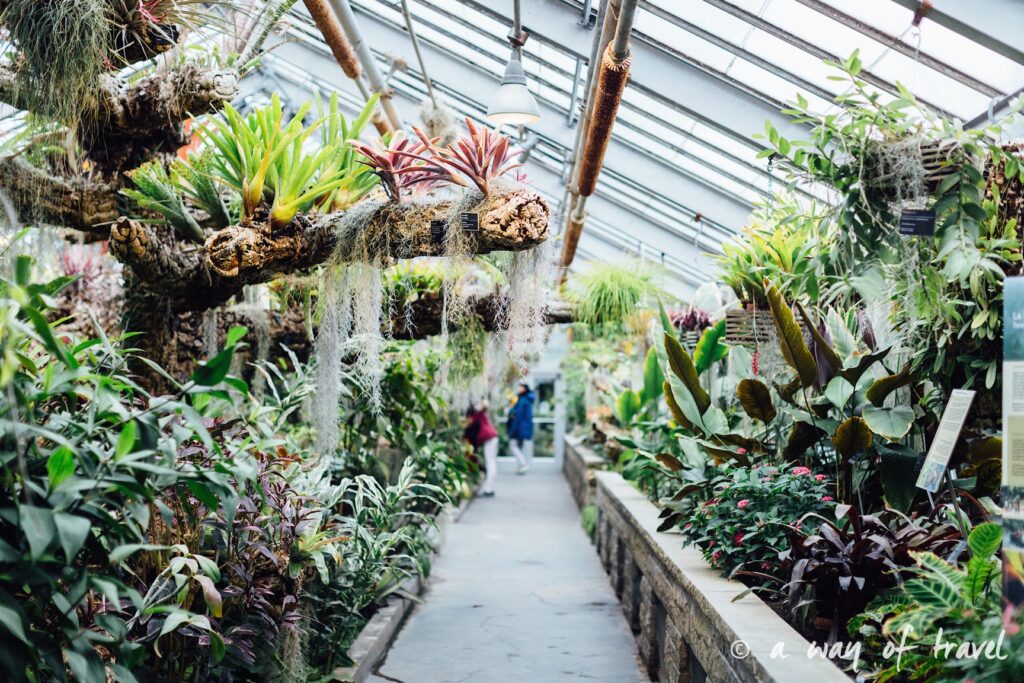 montreal jardin botanique 1