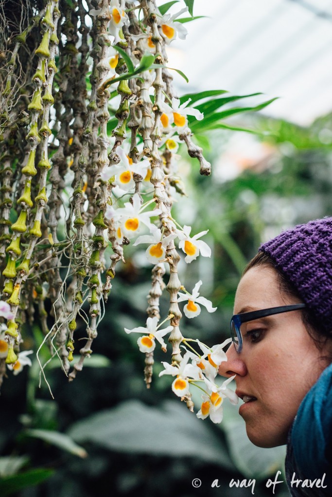 montreal jardin botanique 10