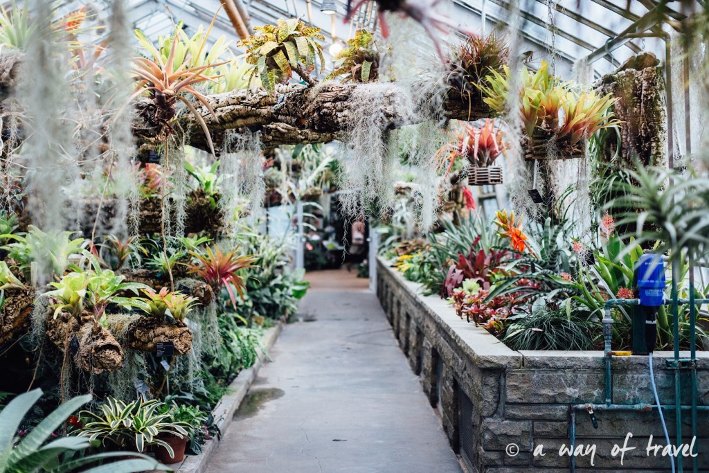 montreal jardin botanique 11