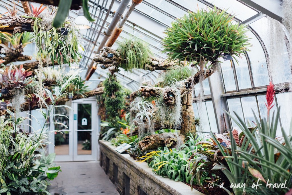 montreal jardin botanique 12
