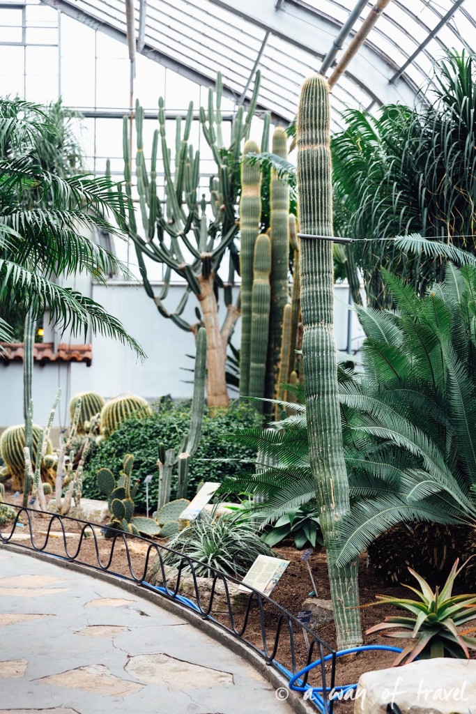 montreal jardin botanique 15