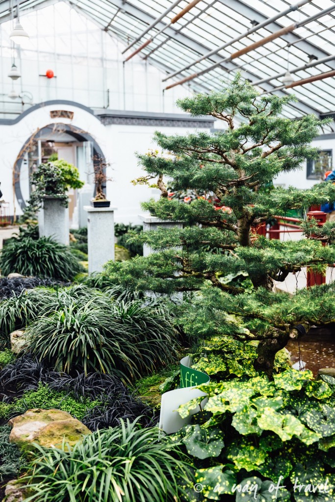 montreal jardin botanique 19