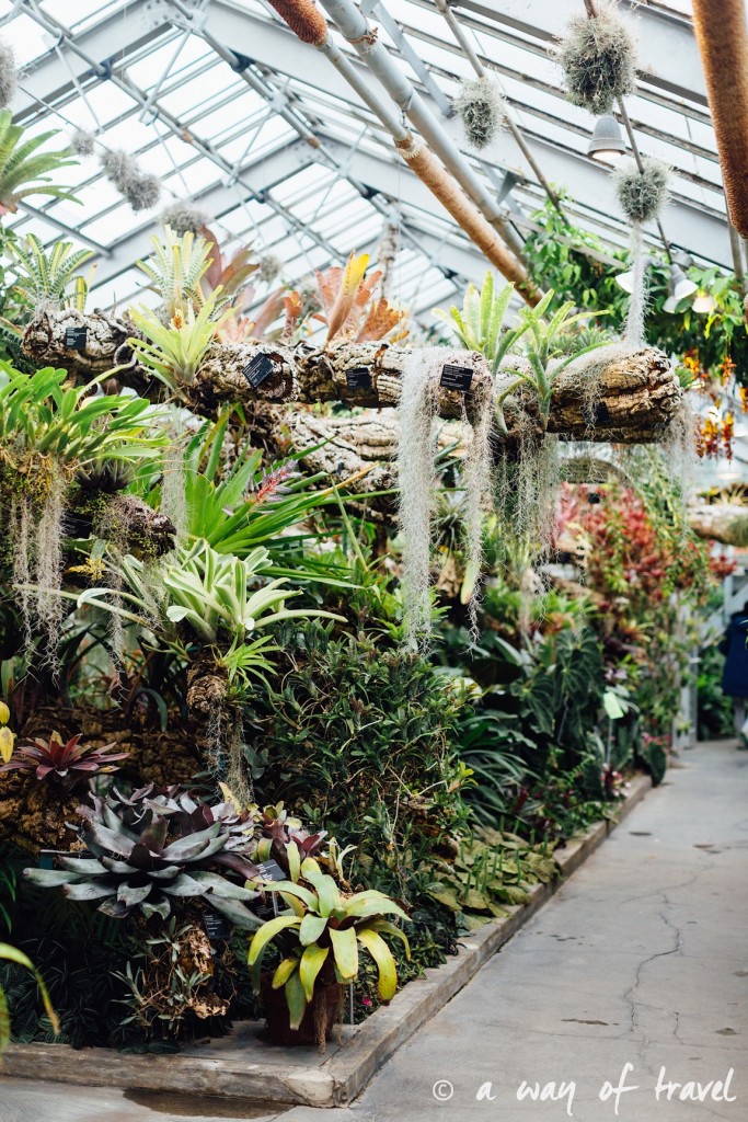 montreal jardin botanique 2