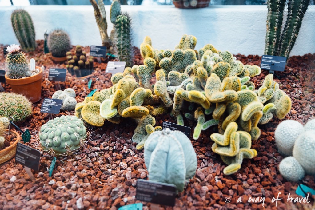 montreal jardin botanique 26