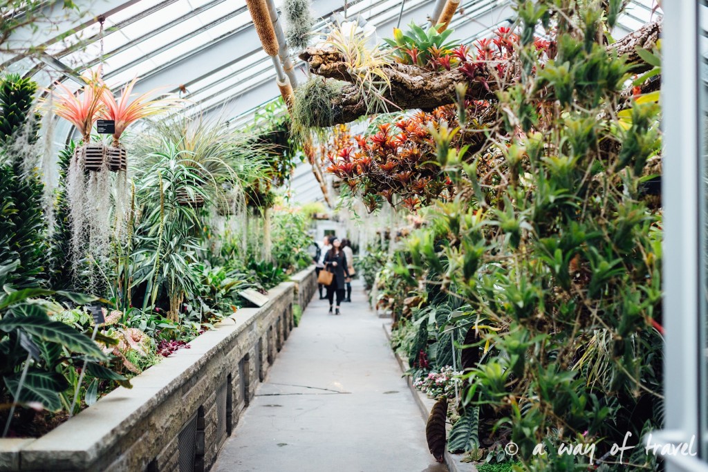montreal jardin botanique 5