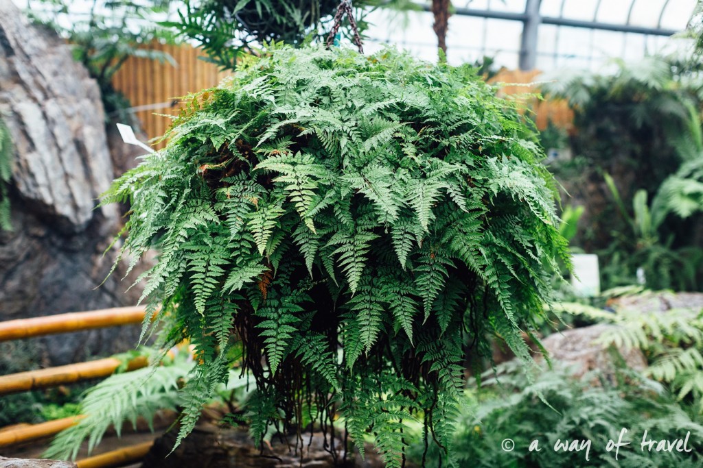montreal jardin botanique 8