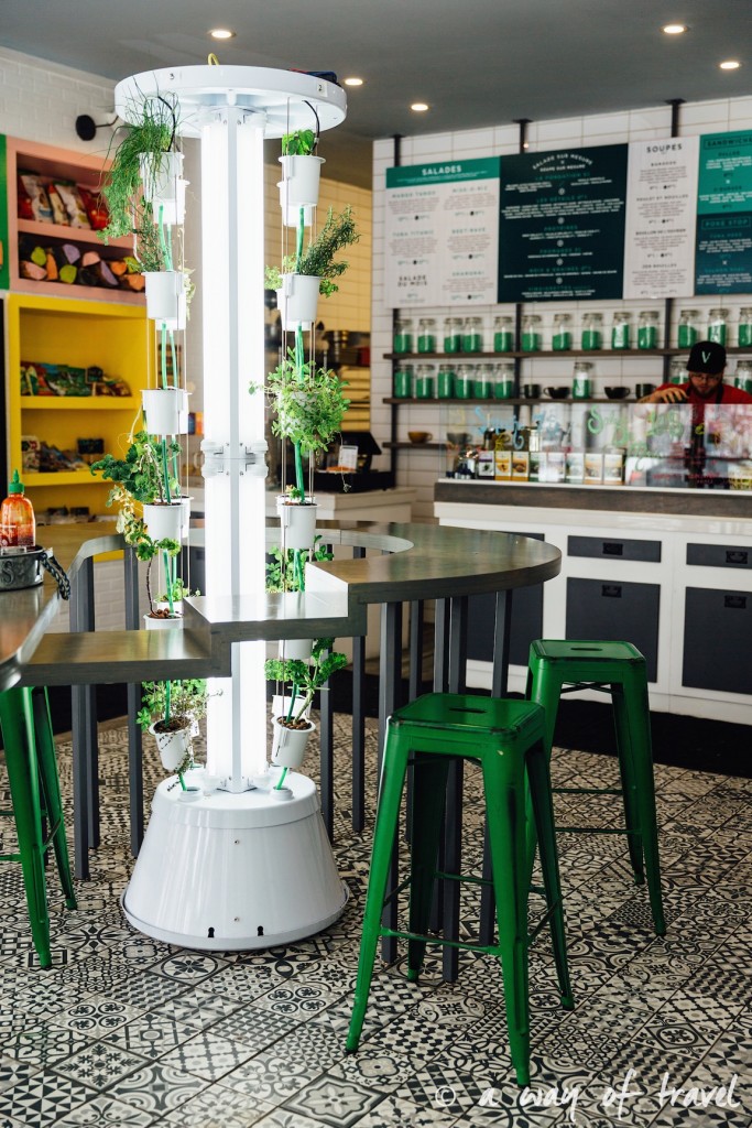 vertu resto vegetarien burger montreal vegetarian 3