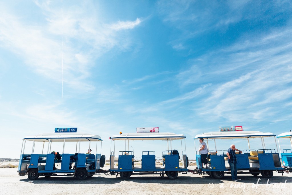 Visiter Camargue Salin Aigues-Mortes-23
