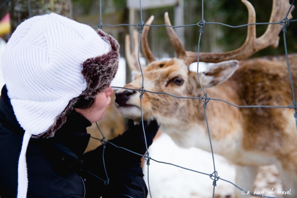 Visiter le quebec hiver 36