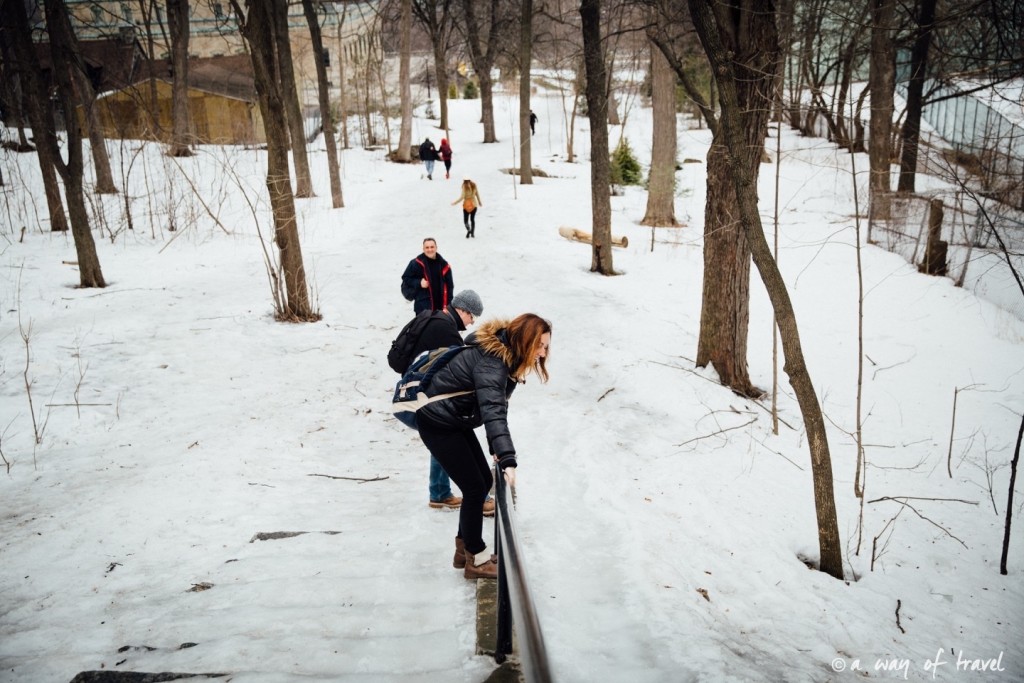 Visiter le quebec hiver 55