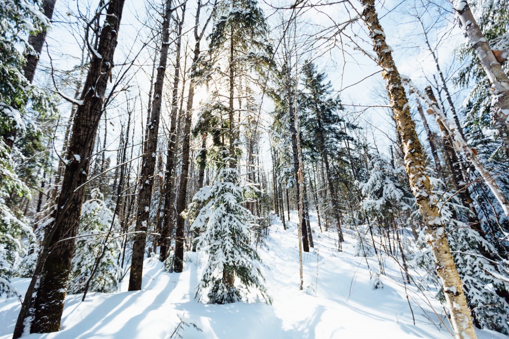 Visiter le quebec hiver 59