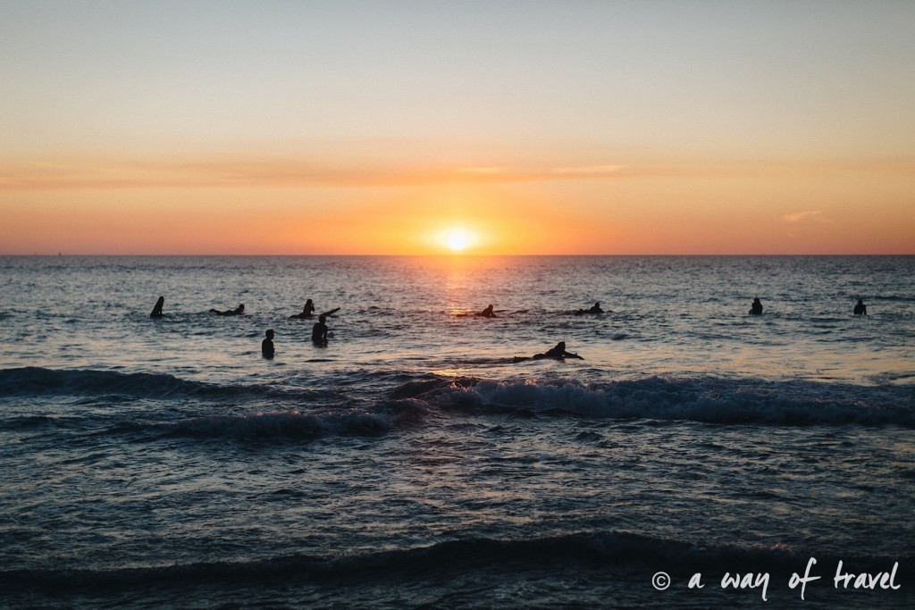 Quik pro 2017 Seignosse landes surf skate photographe 14
