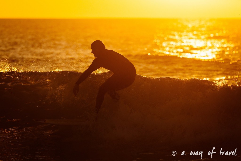 Quik pro 2017 Seignosse landes surf skate photographe 9